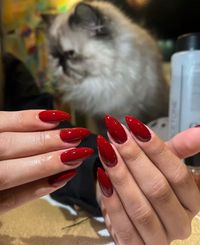 #unhas #unhasdegel #unhasalongadas #unhasnaturais #unhasdefibradevidro #vermelho #red #nails #nailart #nailsofinstagram #naildesign #nailsoftheday