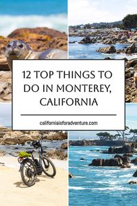 Plan your Monterey getaway with a diverse list of things to do in Monterey, from exploring the coast to savoring local cuisine.