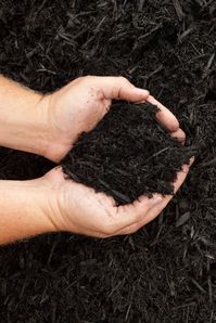 Using organic mulch is a much better option, and there are many types to choose from based on your growing needs. #gardenideas #mulch #gardentips #gardening #southerngardening #southernliving