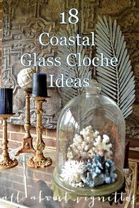 Here are some stylish coastal and beachy glass cloche decor ideas! Seashells, coral figurines, and beachy mini vignettes all look fabulous under a glass cloche. Whether you want to showcase a single item or a collection of things, a glass cloche is a great way to elevate anything that you love and can fit under a cloche. Featured at completely-coastal.com