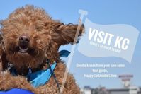 Visiting KC? Best Places to Take Your Dog in Kansas City