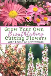 Grow Your Own Breathtaking Cutting Flowers with these 28 Perennials #CutFlowers #Garden #Gardening #Spring #SpringGardening #CuttingGarden