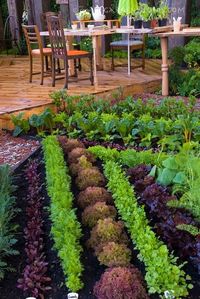 how to plan your vegetable & herb garden