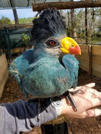 North Florida Wildlife Center (Lamont) - 2021 All You Need to Know BEFORE You Go (with Photos) - Tripadvisor