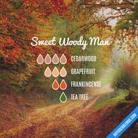 Sweet Woody Man — Essential Oil Diffuser Blend