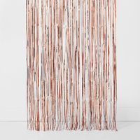 Give your photo booth a reason to shine with the Fringe Backdrop from Spritz™. With a rose gold hue and foil-look material, this party decoration brings a shiny rose gold glow to your space. You’ll love the dynamic sparkle from the fringe design, and its 8-foot x 3-foot dimensions fit most doorways for a fun and dramatic entrance. You can also use it to create your own accent wall or photo booth. Whatever you choose, this fringe party banner brings standout style to your celebrations.