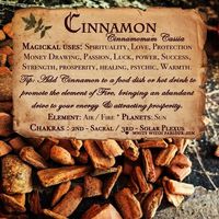 Magical Uses Of - Cinnamon