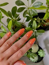 august nails 2024 #AugustNails2024 #SummerNailTrends #ChicManicure #NailArtIdeas #TrendyNails #2024NailDesigns #NailInspo #StylishNails #SummerBeauty #NailGoals