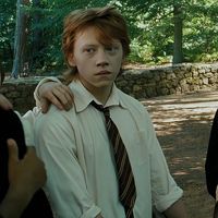 #harrypotter #ronweasley #rupertgrint #icon #pfp