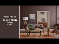 Sherwin-Williams Color of the Month: Black Bean SW 6006.