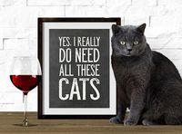 Cat Print, Cat Quote, Cat Printable, Printable Art, 8x10, Yes I Need All These Cats, Instant Download, Printable Wall Art, Cat Lover Gift