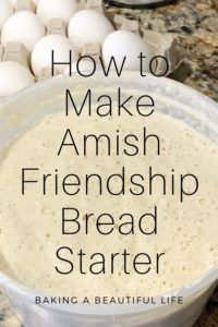 How to Make your Own Amish Friendship Bread Starter ~ Amy Marie