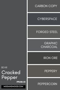 Everything You Need to Know About Behr Cracked Pepper - The 2024 Color of the Year! - Mod & Mood