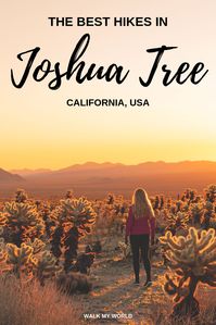 The best hikes in Joshua Tree National Park including our favourite track, some beautiful short walks, epic viewpoints and where you want to go for sunrise and sunset. #JoshuaTree #California #USA