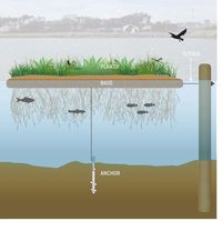 #ClippedOnIssuu from A Floating Wetland Handbook for San Francisco's Southeast…: