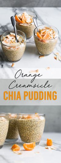 vegan orange creamsicle chia seed