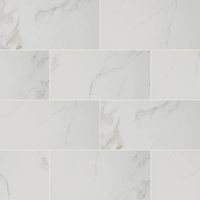 Incorporate a touch of style into your space with the Home Decorators Collection Carrara Polished Porcelain Floor and Wall Tile. A perfect complement to any contemporary aesthetic, this elegant, white