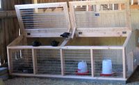 brooder box for chicks