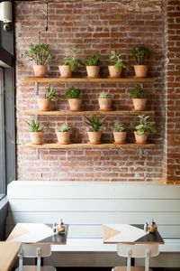 Aussie Style Invades Brooklyn at Brunswick Cafe by Barbara Peck: Ty Tan Designs creates the cafe's plantings...Tan got the pots from the New York Botanical Garden and aged them with garden lime. "It only takes a few days for the white look to appear," she says. "Then it keeps going as you water the plants and the water seeps through the clay."