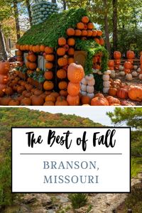 Want to make the most of fall break this year? Visit Branson, Missouri, for scenic views, seasonal festivals, and outdoor fun.   Click the link to find out more about fall activities and attractions!   #BransonMO #FallGetaway #AutumnFun #ExploreBranson