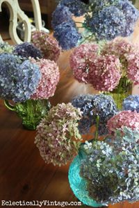 How to dry hydrangeas - this is the easiest way I've seen! eclecticallyvintage.com