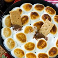 S'mores Dip - Dinner at the Zoo