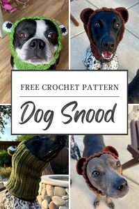 Make a crocheted dog snood for your pet using this FREE crochet pattern! Great for Halloween to be a frog, bear, bunny, unicorn, and more!