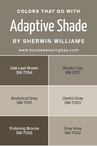 When choosing colors to complement Adaptive Shade SW 7053 by Sherwin Williams, it’s essential because they can influence the mood and feel of a space. These coordinating colors work together to create a harmonious and appealing palette that can enhance the aesthetic appeal of any room. For instance, using colors like Oak Leaf Brown or Studio Clay adds a warm, earthy vibe that can make a room feel more inviting and cozy.