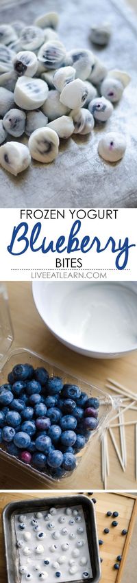 Healthy Snacks Recipes - Blueberry Yogurt Bites - perfect for after school or before a workout - Recipe via Live Eat Learn