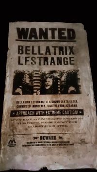 misswizardingworld on Instagram: Approach with extreme caution! 💀⚠️🗡 . . ✨Make sure while your exploring in Knockturn Alley, you stop and watch Bellatrix Lestrange’s…