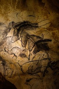 The Four Horses Panel in Chauvet Cave. Scientist Jean Clottes believes the images were intended to be experienced much the way we view movies, theater, or even religious ceremonies today—as a powerful shared experience.