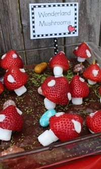 32 Kids’ Alice In Wonderland Party Ideas | Shelterness » DIY | Bloglovin’