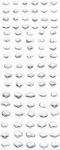 How to draw cute noses in a very minimalistic way.