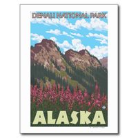 Fireweed & Mountains - Denali Nat'l Park, Postcard we are given they also recommend where is the best to buyReview          	Fireweed & Mountains - Denali Nat'l Park, Postcard lowest price Fast Shipping and save your money Now!!...