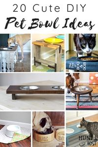 These cute pet bowl ideas are the perfect way make your pet's feeding station part of your decor. Love on your furry friend with these DIY dog bowl stand ideas and cute cat bowl DIY stnads. We all know the way to a pet's heart is through their stomach! Might as well have their food bowls looking cute. #catfoodbowlideas #cutepets #petfoodstation #dogfoodideas #catfoodideas #personalizedpet #furryfriendlove #DIYpetideas