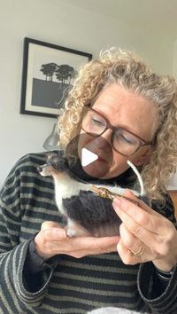 Jo Hobbs Needlefelt artist | 🐾Hey! 🫵🏻Over here! Don’t get in a frenzy over fur planting! Just follow these simple needlefelting tips!🐾 
🐾Don’t over load the body of... | Instagram