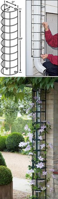 20+ Awesome DIY Garden Trellis Projects 2022