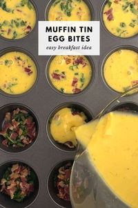 These muffin tin egg bites are a delicious combination of eggs, cheese, bacon, and veggies, perfectly portioned into muffin tin cups. If you are looking for an easy breakfast or brunch idea, this recipe is perfect.