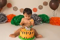 Jungle Animal Cake Smash idea, Animal cake smash idea, zoo animal cake smash…