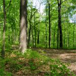 Purdue Extension Forestry