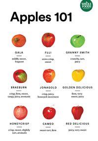 From Jonagold to Fuji, learn what each type of apple has to offer so you can pick the best variety for your next pie, applesauce or whatever else you’re baking.