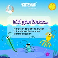 Even though we are unable to breathe underwater, most of the oxygen comes from the sea, specifically from plankton.  Just 20 minutes a Day with Yogome is enough to keep learning more Earth facts.