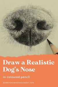 Learn how to draw a beautifully textured, realistic dog's nose with this free 40-minute tutorial, by coloured pencil artist Bonny Snowdon. Challenge yourself today by clicking on the link... #learntodraw #drawingforbeginners #colouredpencilart #freearttutorial #bonnysnowdonacademy