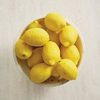 Lemon Fillers - Set of 12