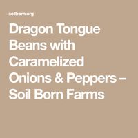 Dragon Tongue Beans with Caramelized Onions & Peppers – Soil Born Farms