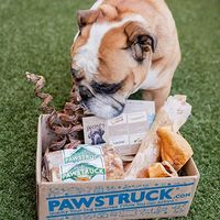 Small, medium, and large dog options! Your dog will love the safe, healthy goodies they receive in their box. Each month you’ll receive 4 different types meat treats made from the highest quality ingredients. NO RAWHIDE. Expect bully sticks, cow ears, beef jerky & more! #ad #amazon