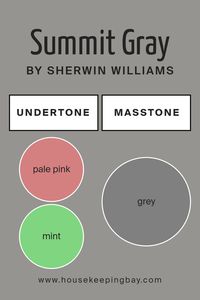 Summit Gray SW 7669 by Sherwin Williams is a versatile color with complex undertones, making it unique and appealing for interior walls. The undertones in a paint color are like silent whispers of other colors that can change how the main color looks under different lighting or when paired with furniture and decor. For Summit Gray, these undertones include a wide spectrum from pale pink to dark grey, including mint, lilac, and olive, among others.