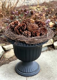 Learn how to use pinecones for winter home decor. Decorating during that awkward time between Christmas decor coming down and spring decor going up.