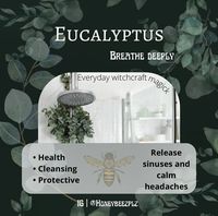 Eucalyptus is a wonderful plant with high heeling and balancing properties Hanging eucalyptus underneath your shower not only helps with clearing sinuses when unwell but helps elevate headaches and cleanses the aura while adding a spiritual layer of protection Not only that but your bathroom will smell fabulous! You can buy cut eucalyptus at your local florists or online I hope this is useful to someone Blessed bee witches 🐝🌿 #witch #witchesofinstagram