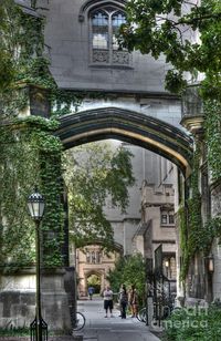 university of chicago quadrangle